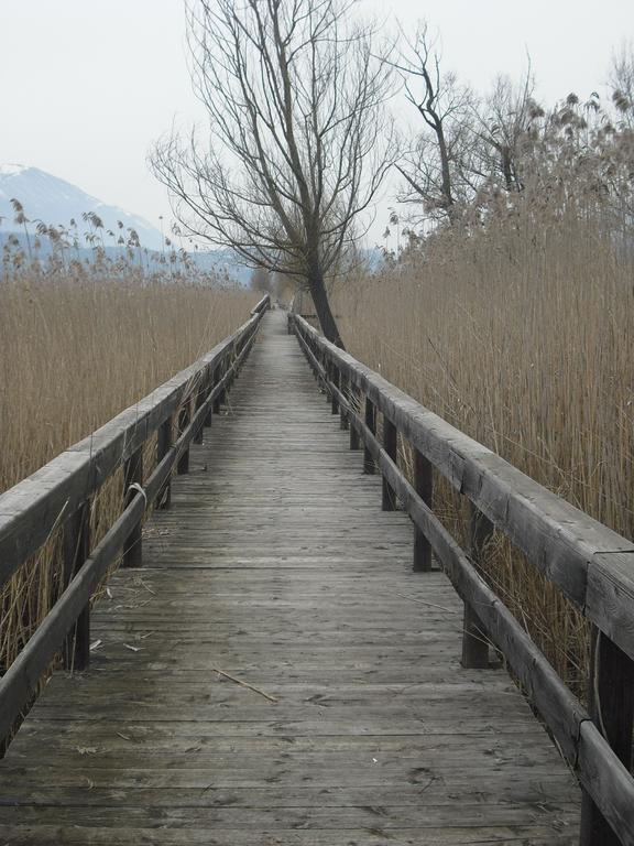 La Casa Sul Lago Posta Fibreno Kültér fotó